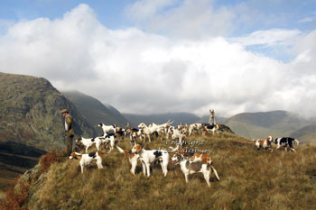 Kentmere Hunting Pictures by Betty Fold Gallery